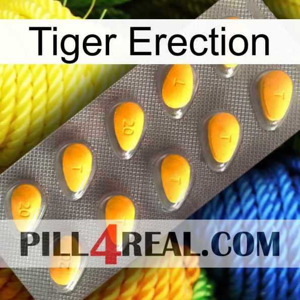 Tiger Erection cialis1.jpg